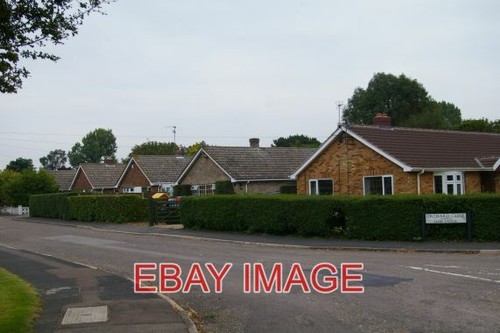 Photo orchard close - photo,